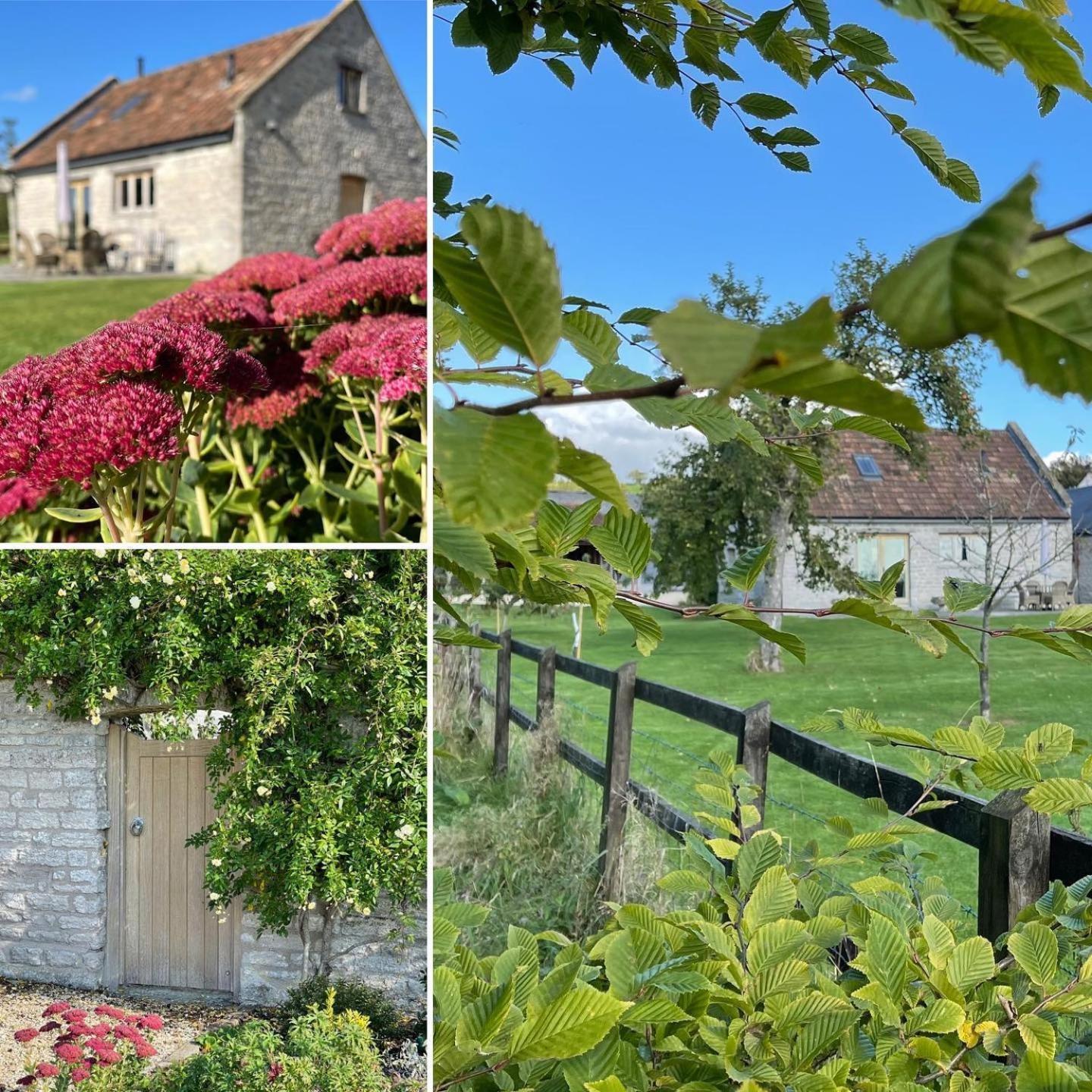 Yew Tree Cottage Shepton Mallet Dış mekan fotoğraf